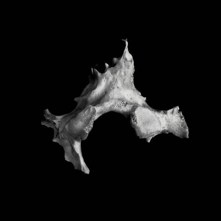 Archillect ID 152310
