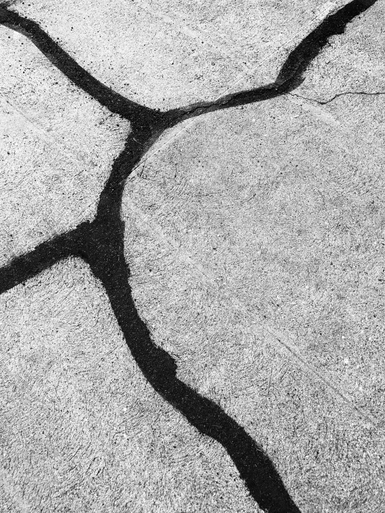 Archillect ID 152414