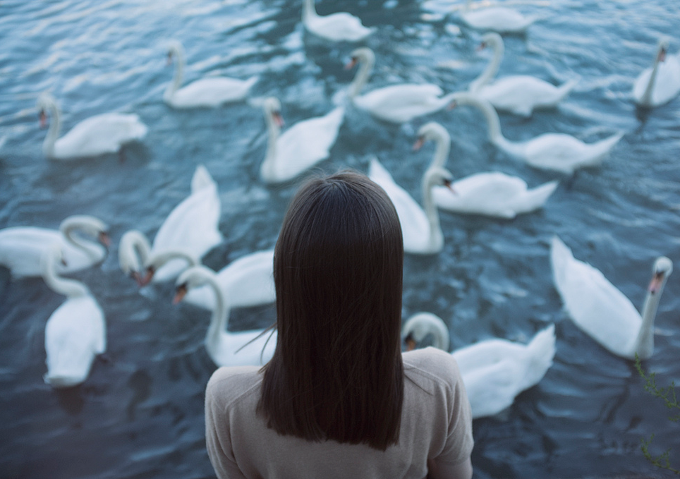 Archillect ID 152900