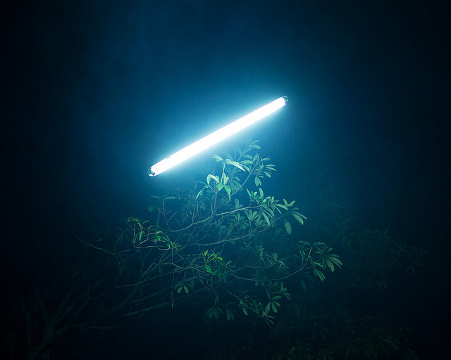 Archillect ID 152929