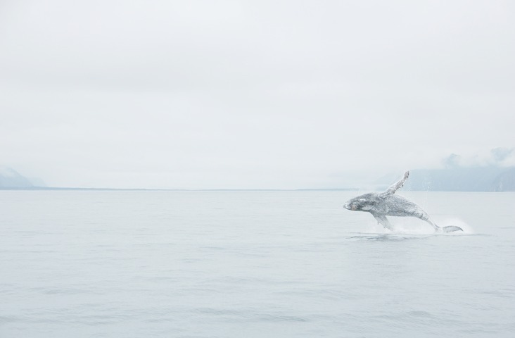 Archillect ID 153215