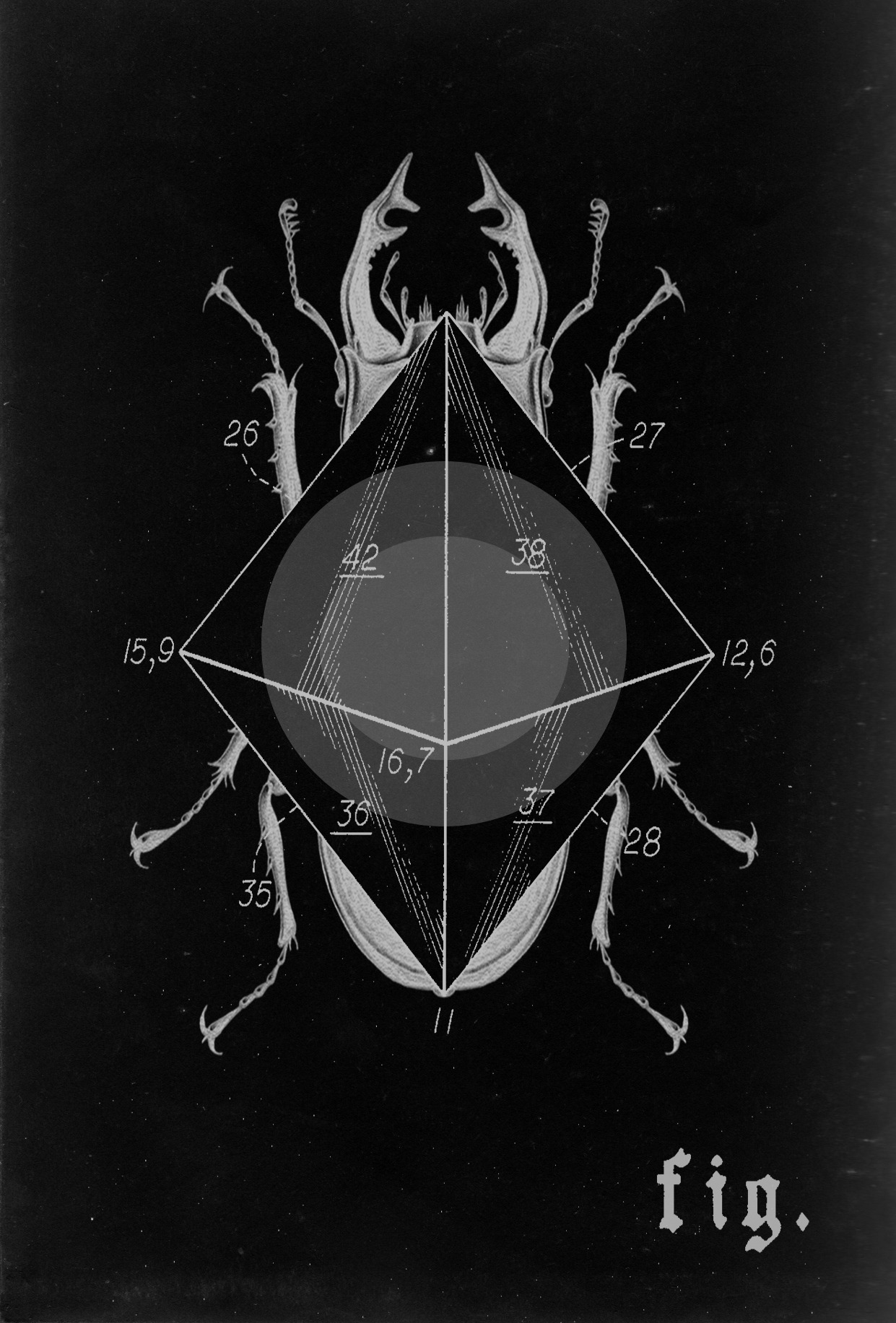 Archillect ID 153622