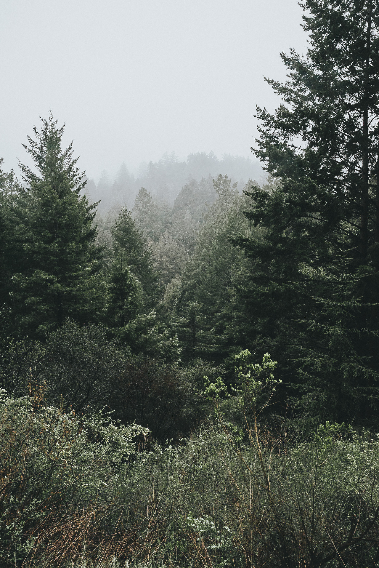 Archillect ID 153923