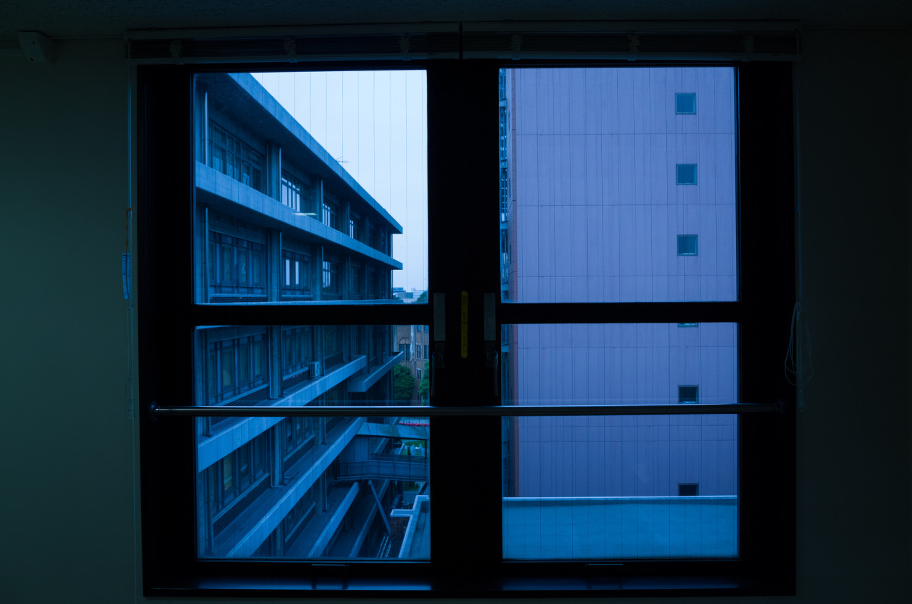 Archillect ID 153955