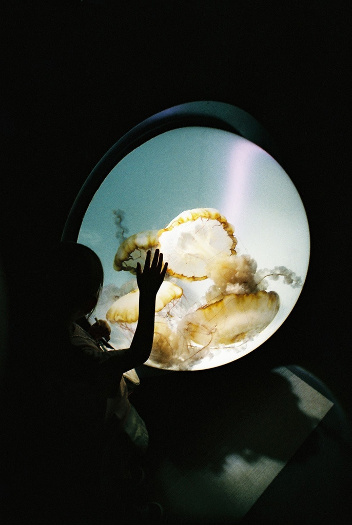 Archillect ID 154079
