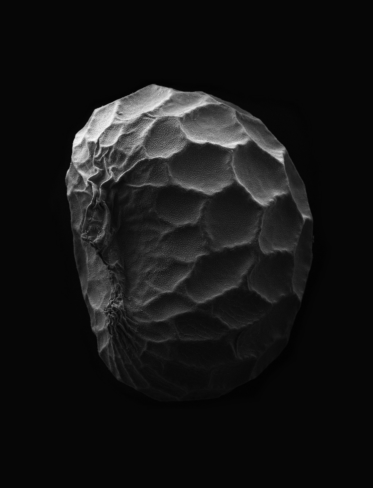 Archillect ID 154248