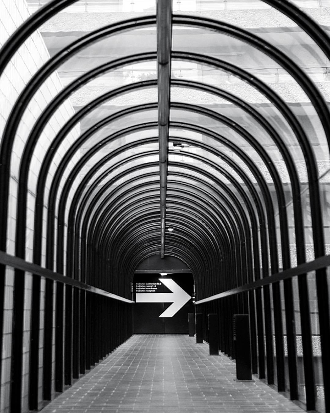 Archillect ID 154566
