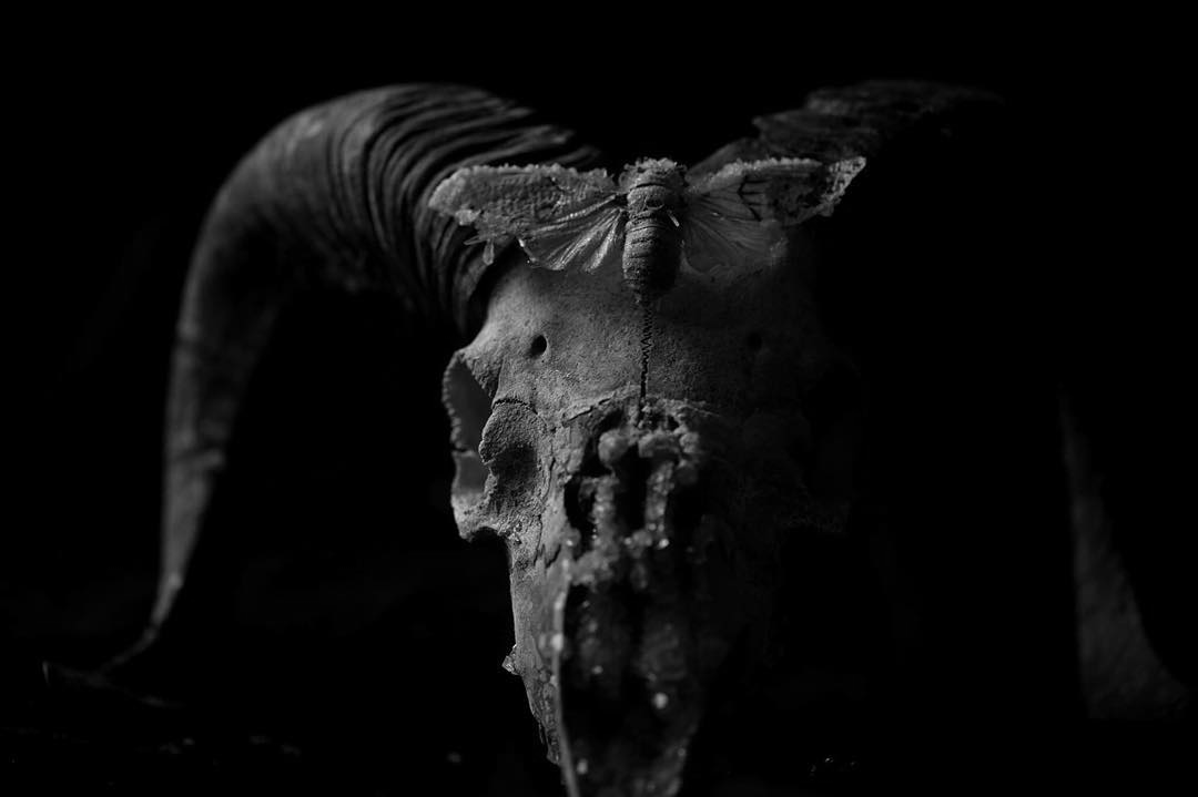 Archillect ID 154580