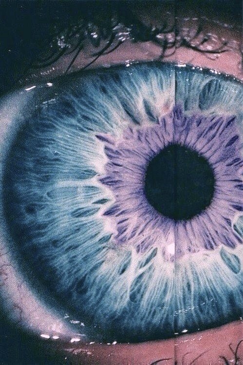 Archillect ID 154933