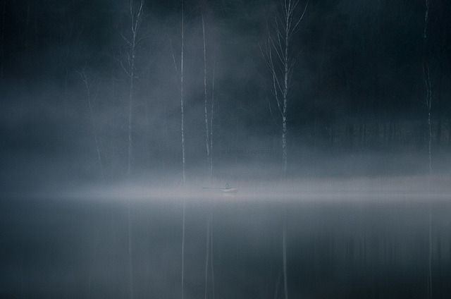 Archillect ID 155139