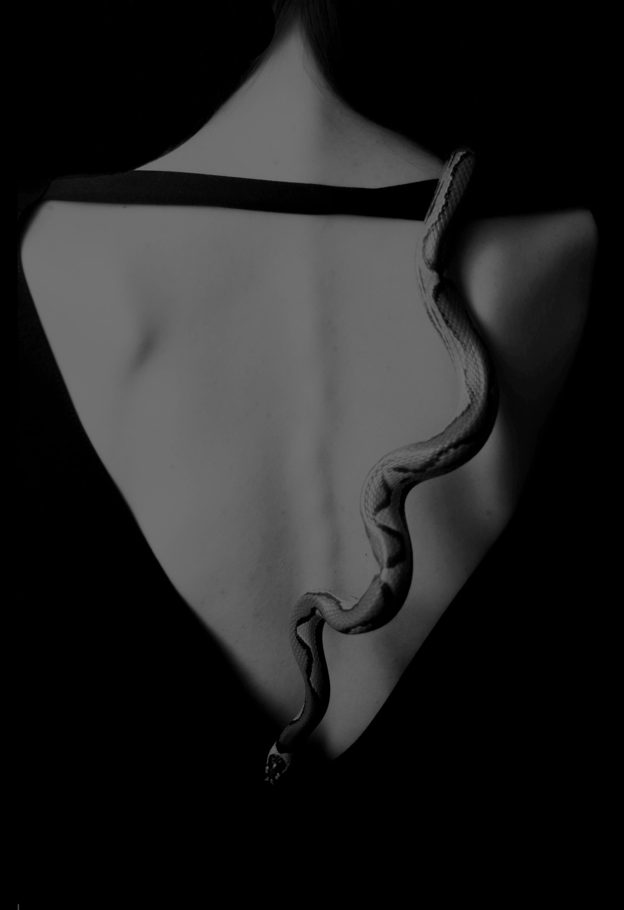 Archillect ID 155154