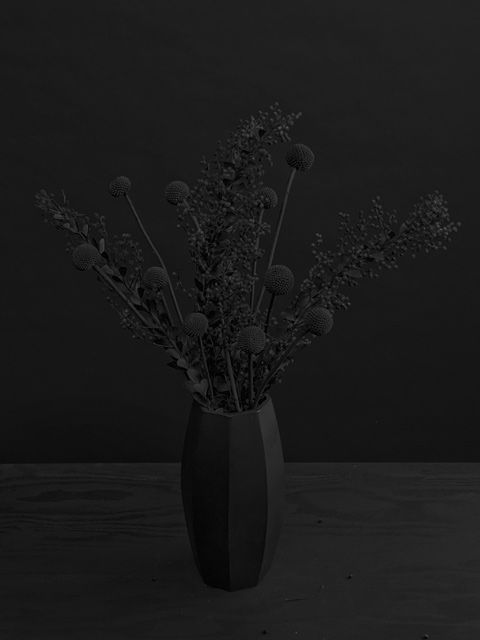 Archillect ID 155315