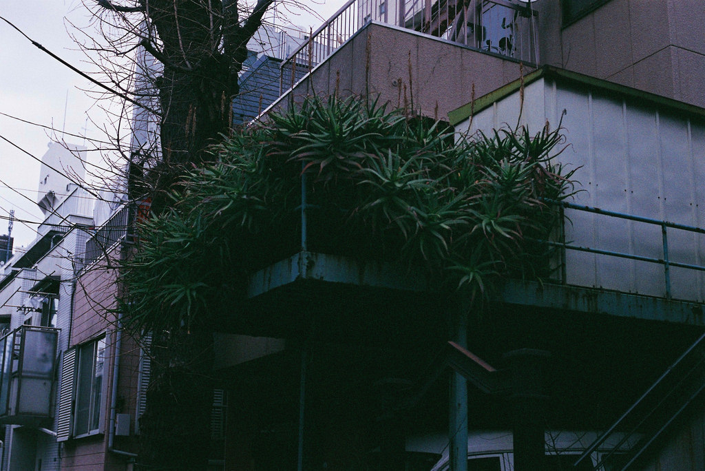 Archillect ID 155862