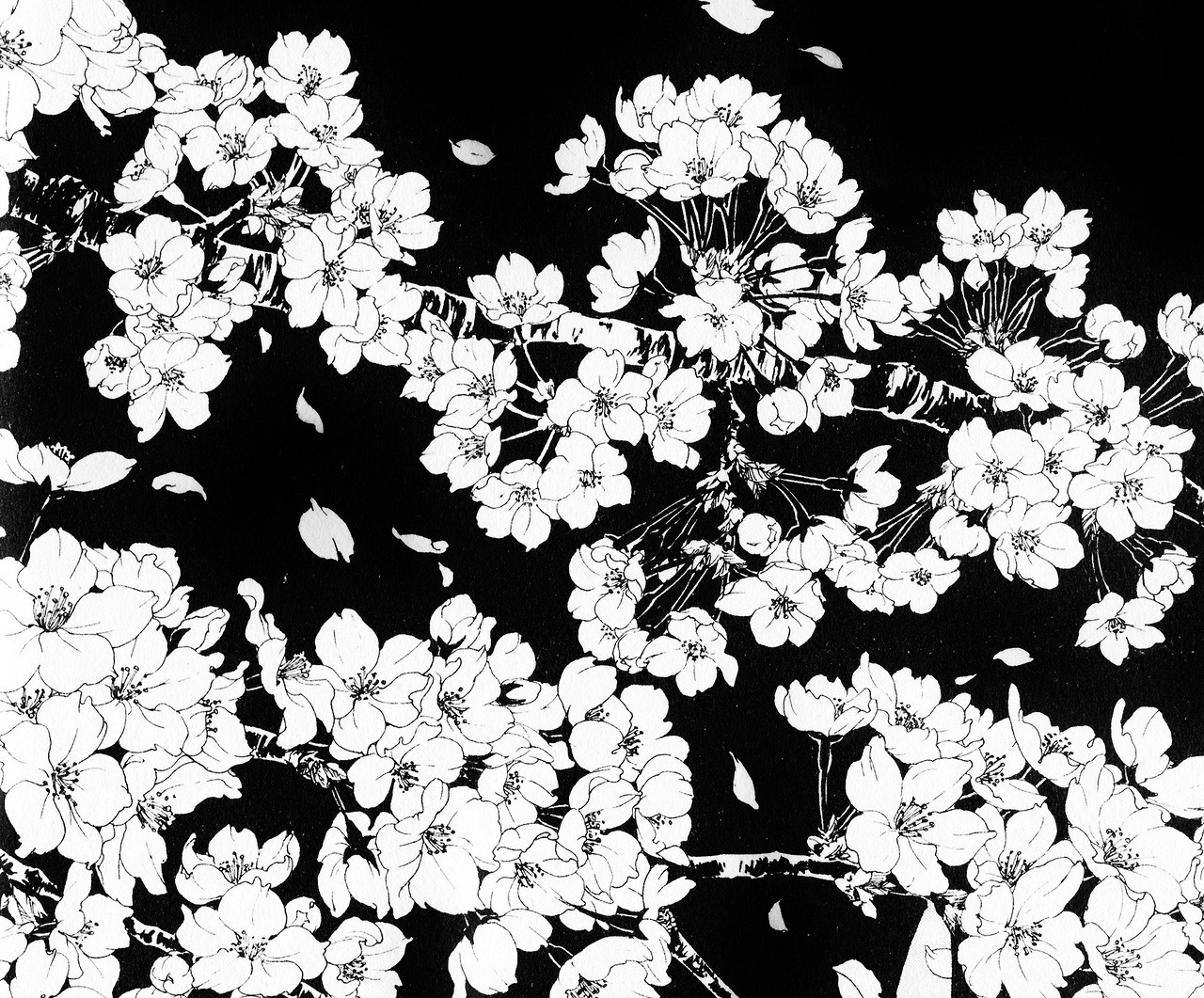 Archillect ID 155942