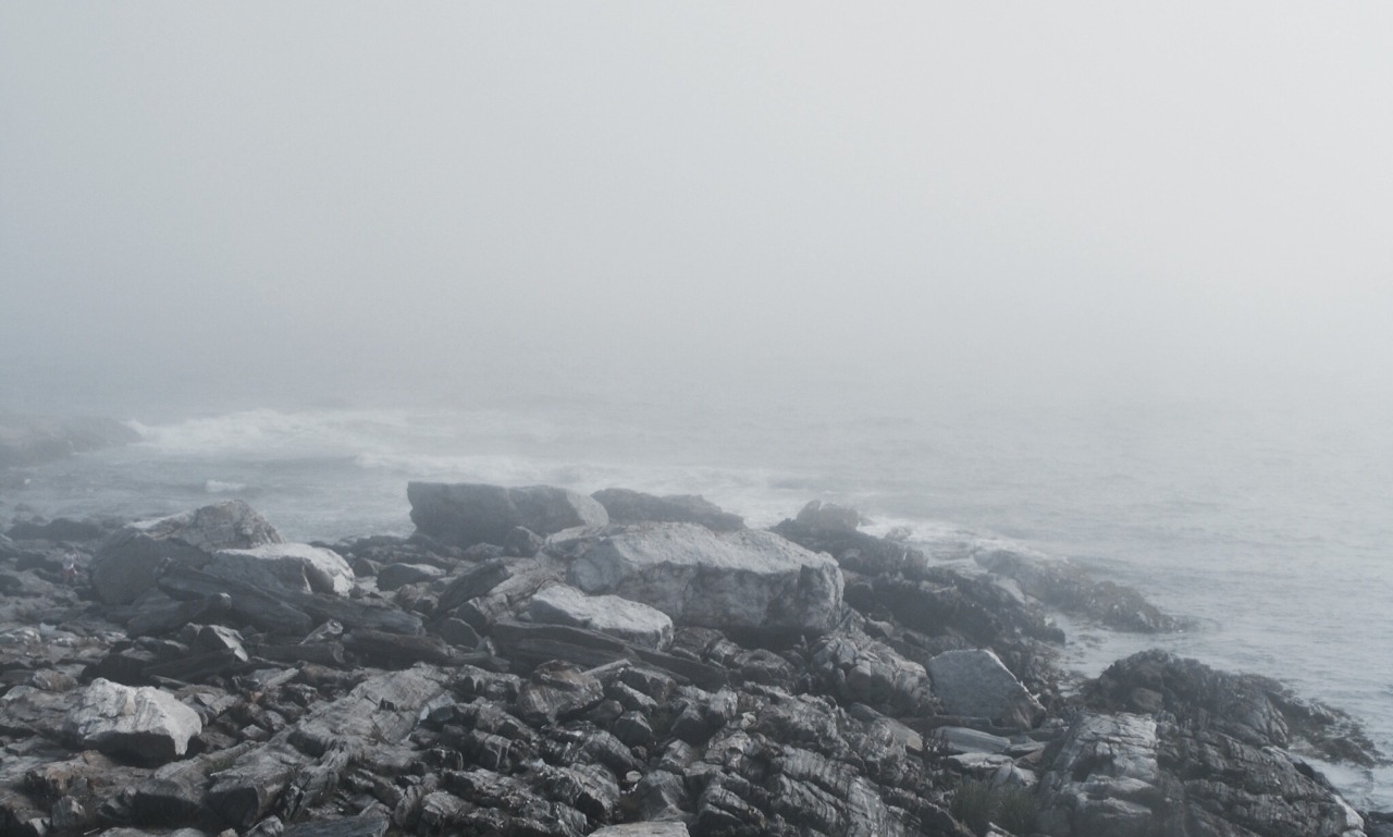 Archillect ID 156224