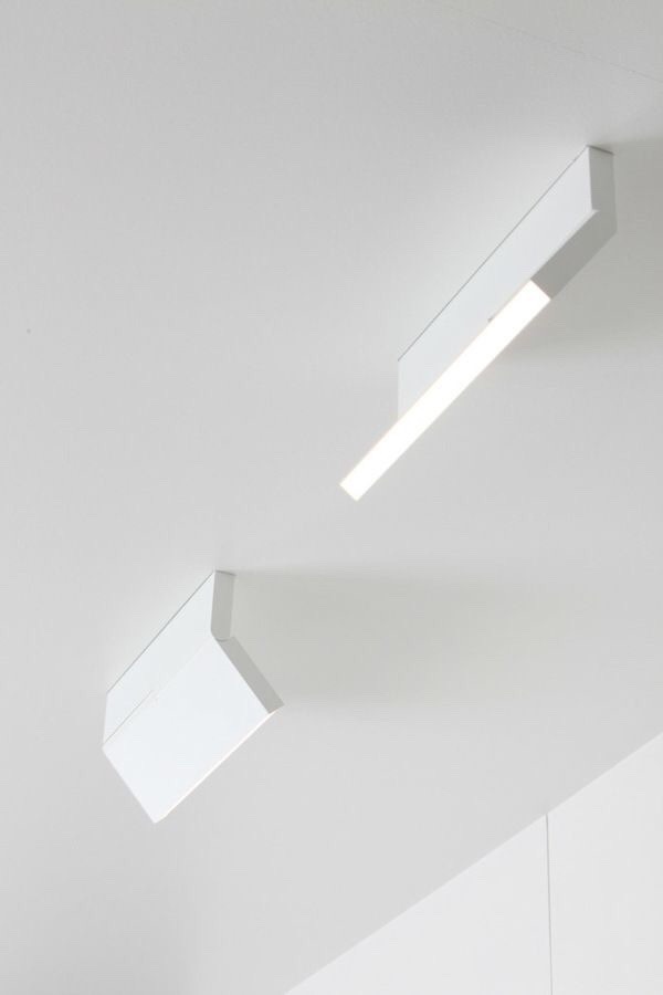 Archillect ID 156234