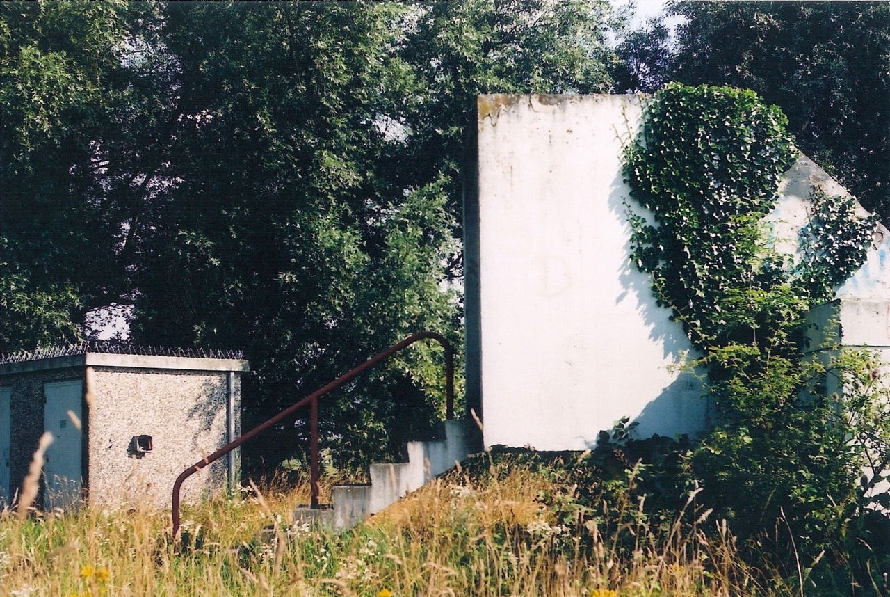 Archillect ID 156251