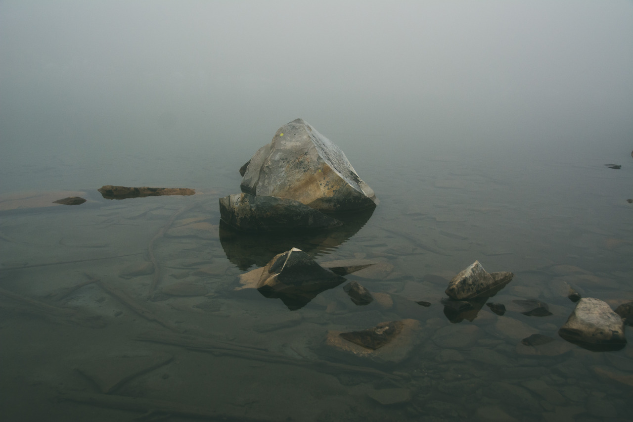 Archillect ID 156314