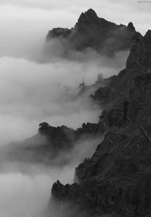 Archillect ID 156476