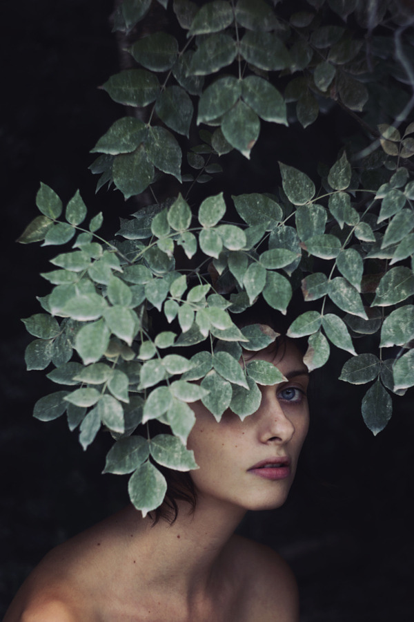 Archillect ID 156486