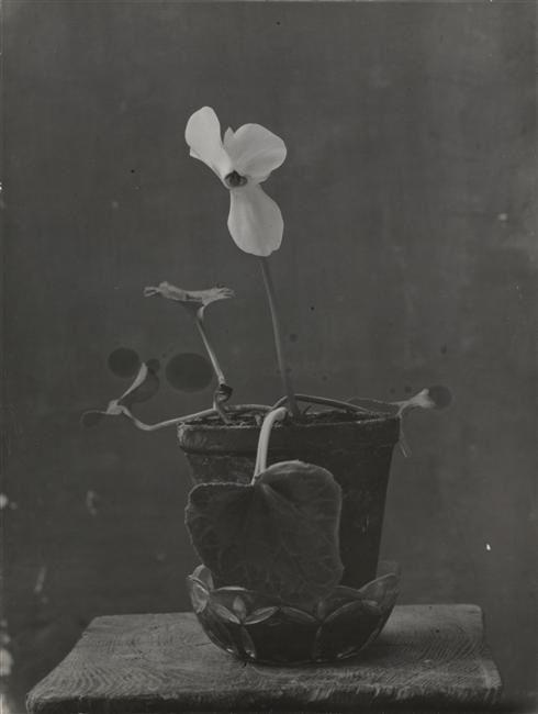 Archillect ID 156689