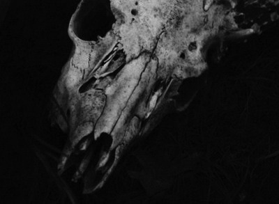 Archillect ID 156767