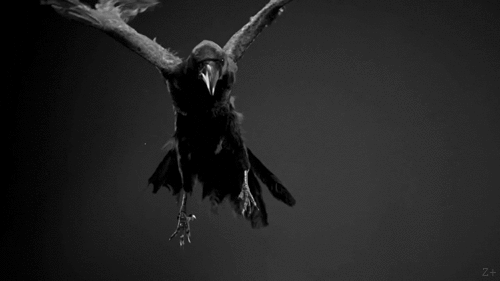 Archillect ID 156982