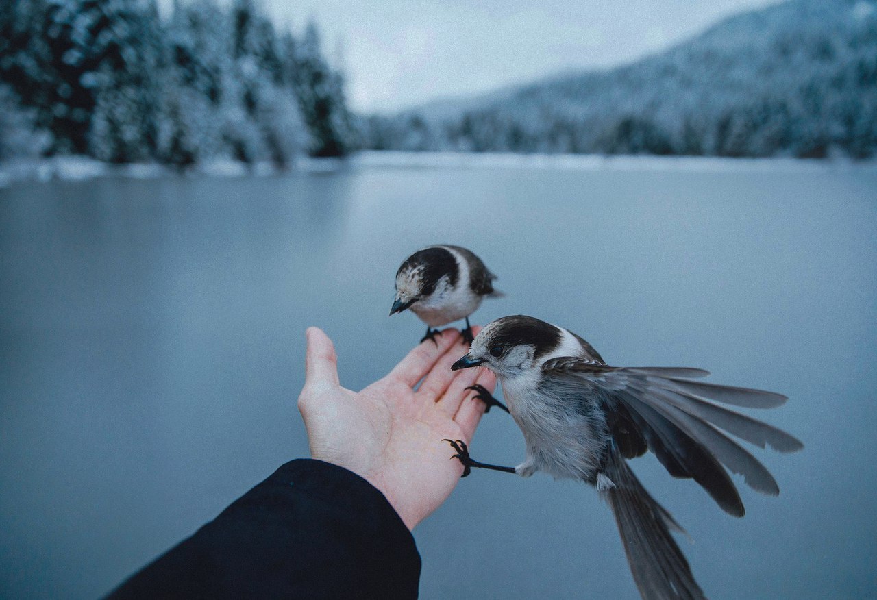 Archillect ID 156994