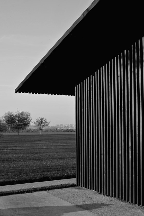 Archillect ID 157019