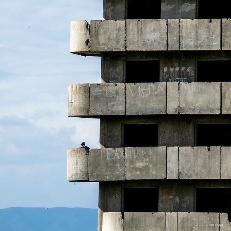 Archillect ID 157089