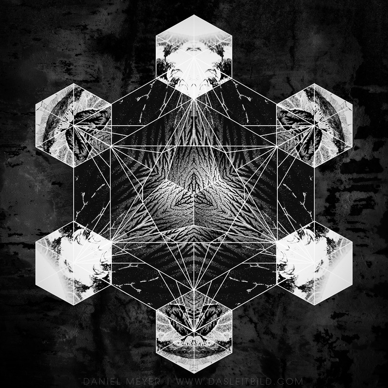Archillect ID 157375