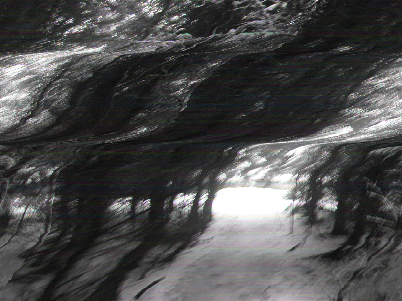 Archillect ID 157481