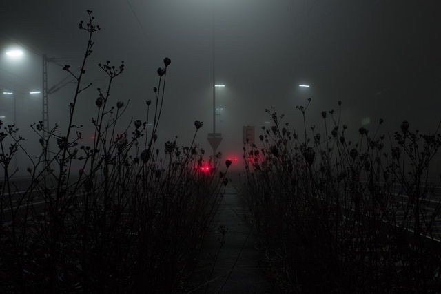 Archillect ID 157825
