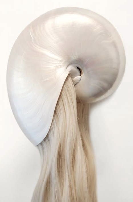 Archillect ID 157837