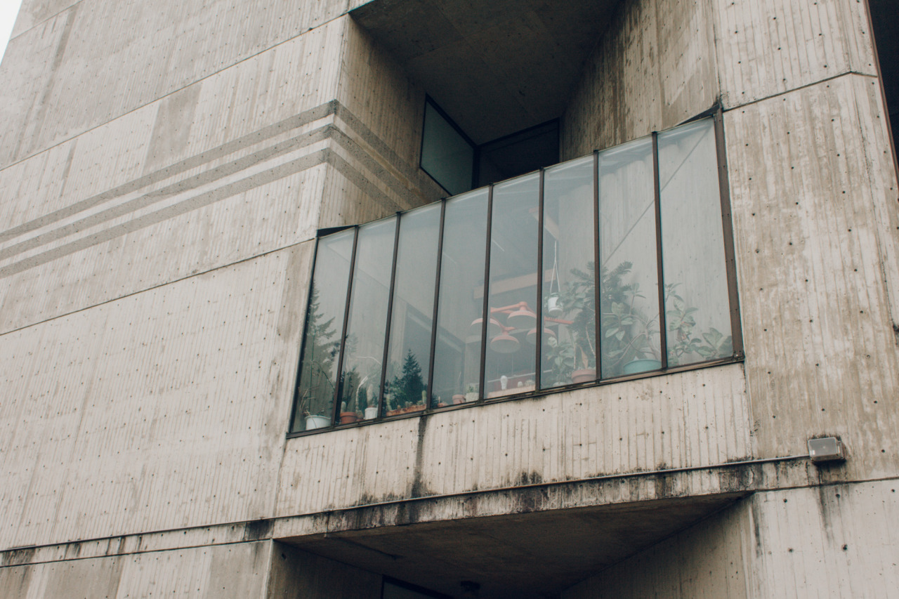 Archillect ID 157844