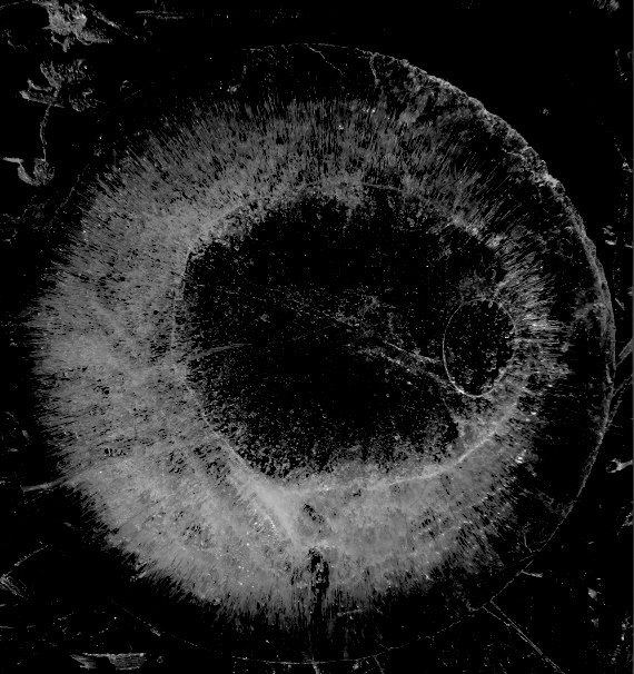 Archillect ID 157888