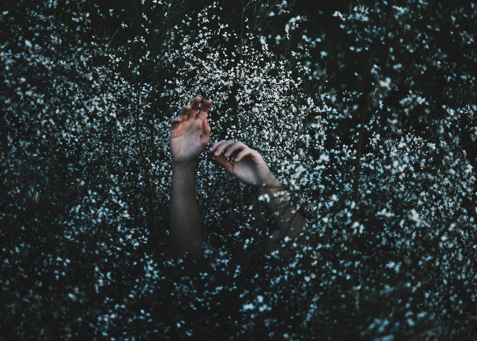 Archillect ID 158232