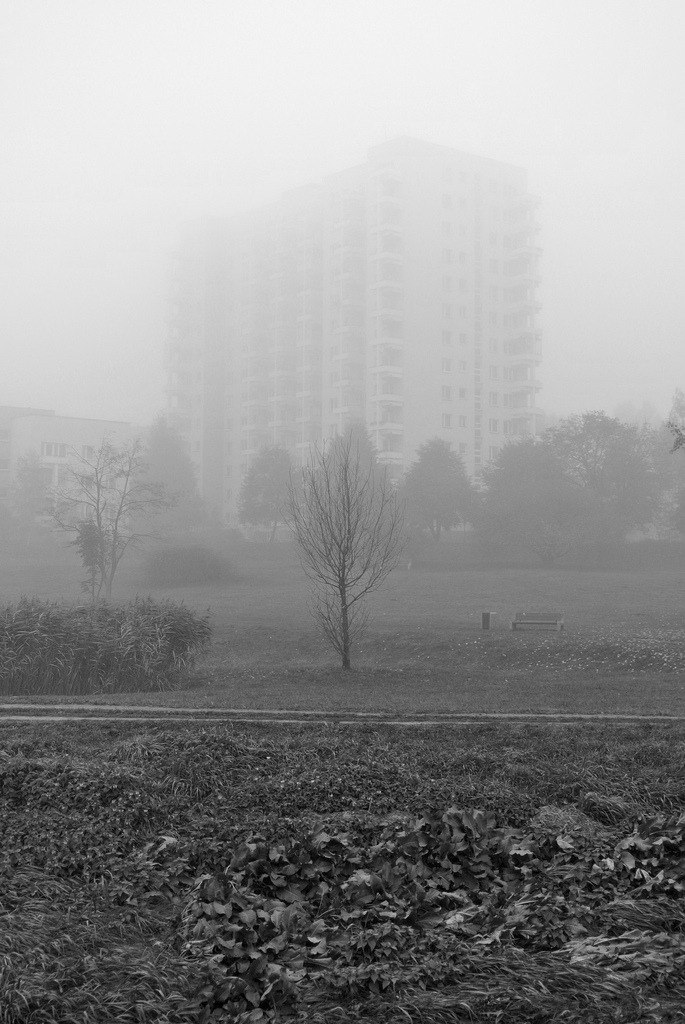 Archillect ID 158263