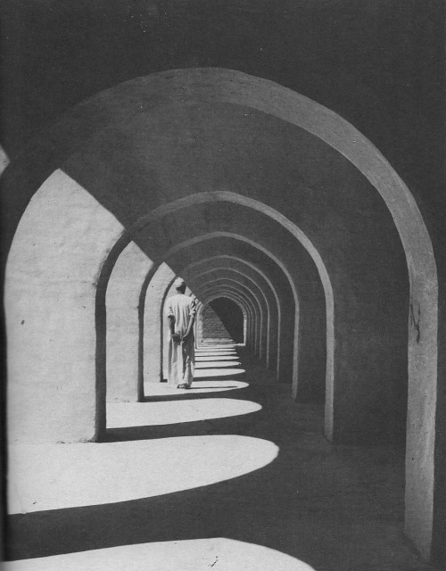 Archillect ID 158406