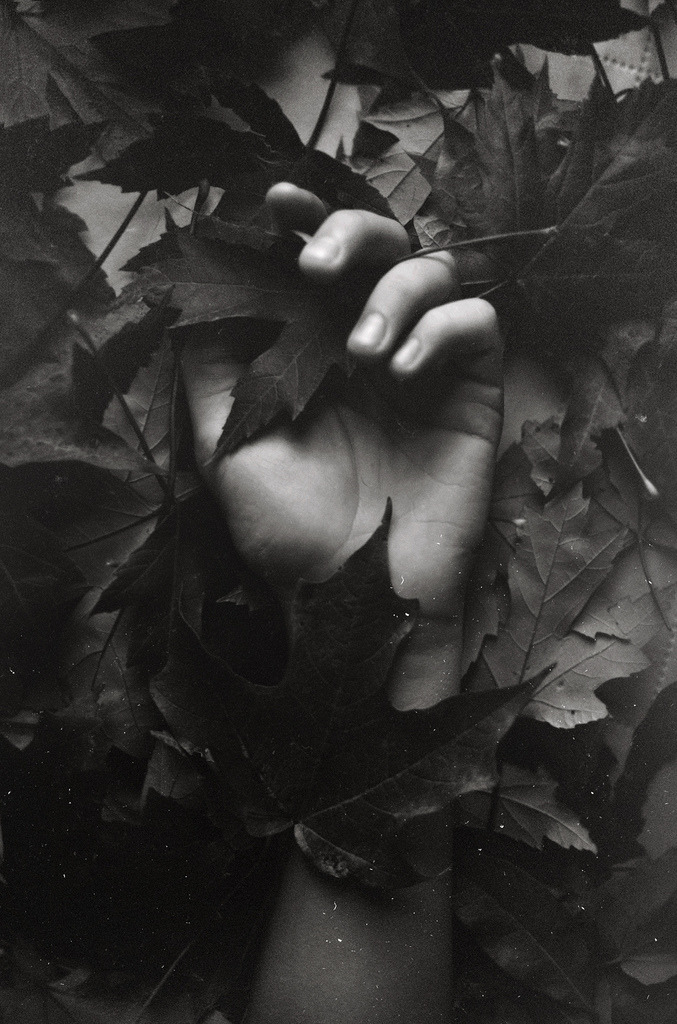 Archillect ID 158637
