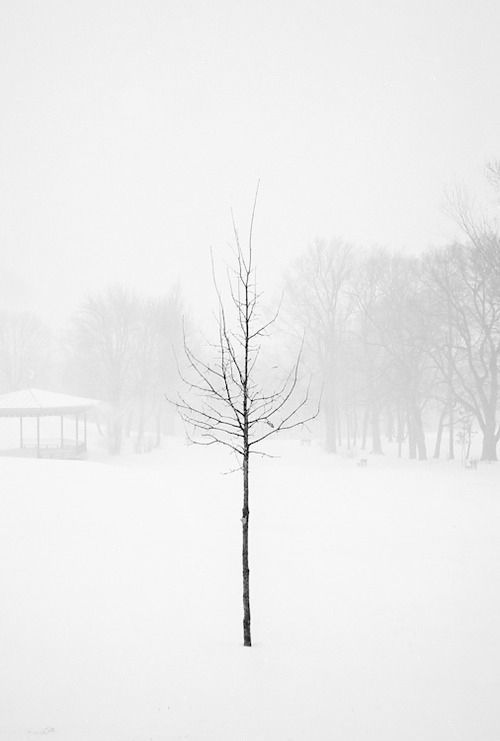 Archillect ID 158886