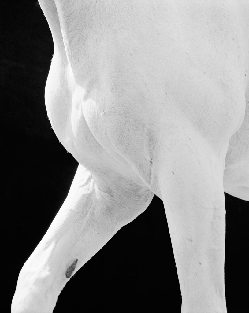 Archillect ID 159115