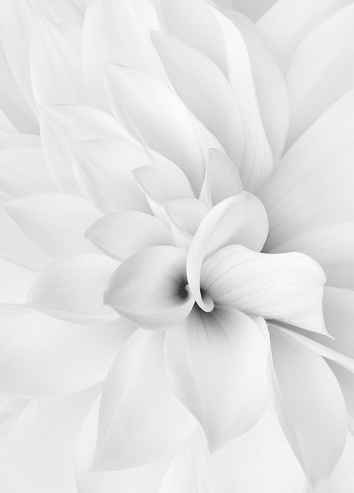 Archillect ID 159388