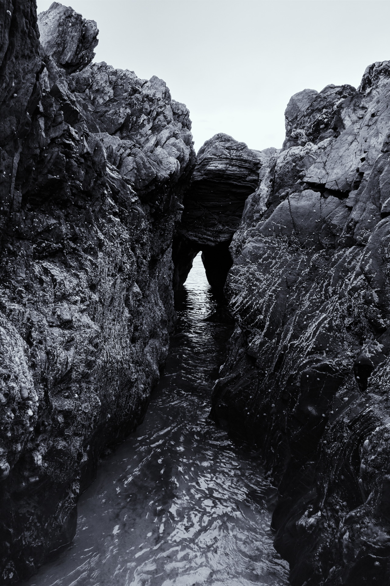 Archillect ID 159407