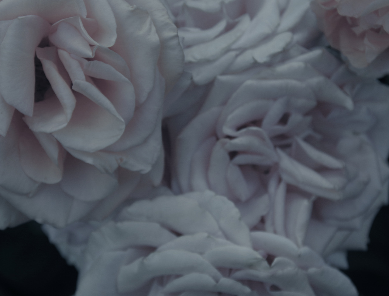 Archillect ID 159879