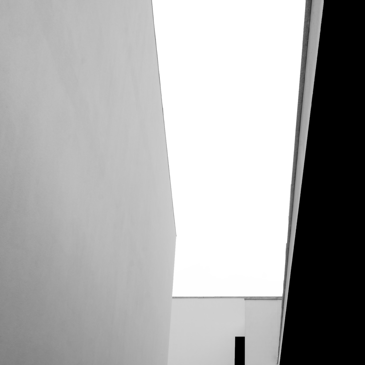 Archillect ID 159903