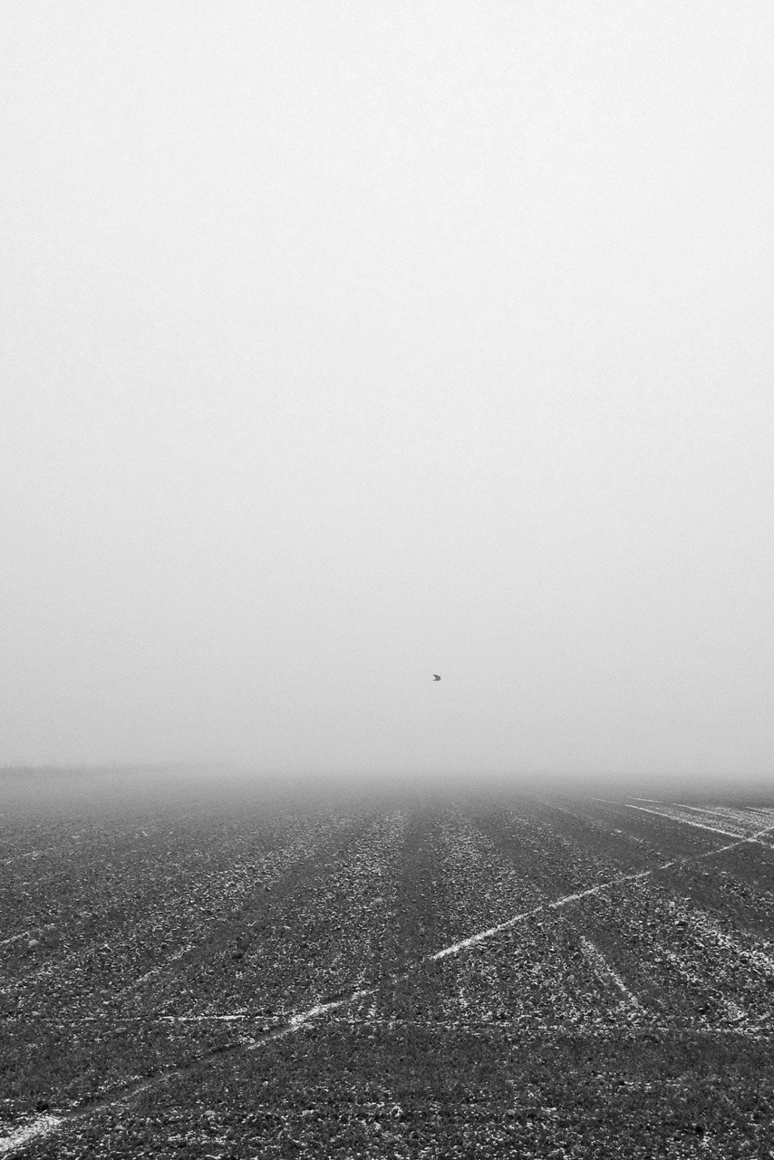 Archillect ID 160138