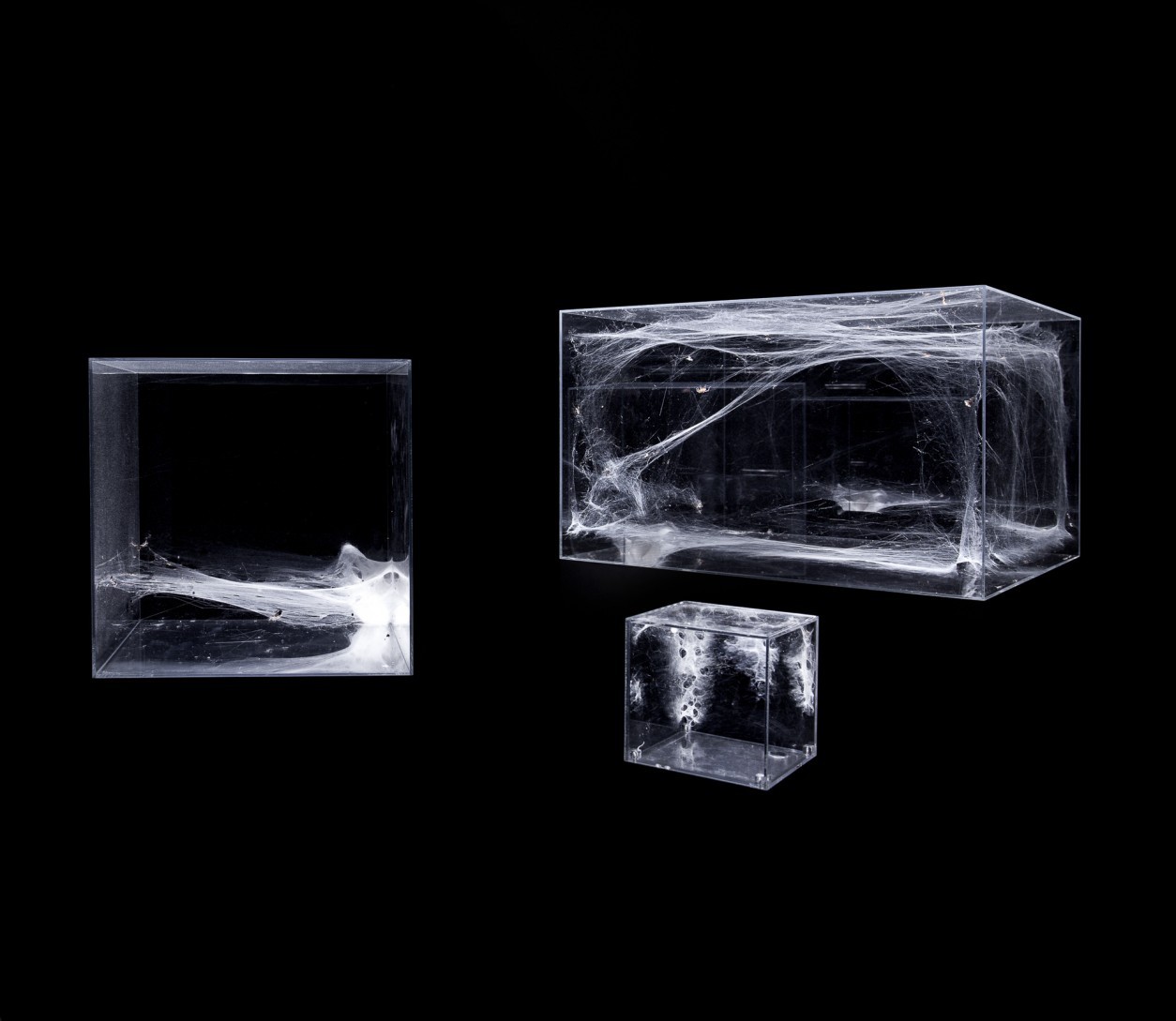 Archillect ID 160139