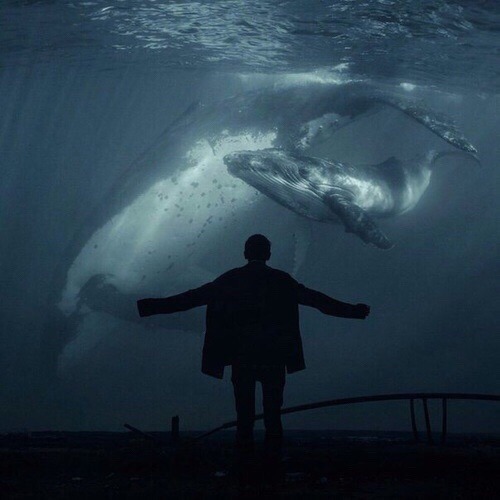Archillect ID 160465