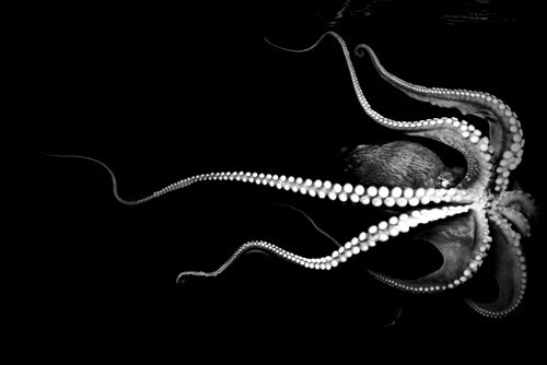 Archillect ID 161008